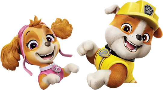 image of paw pups